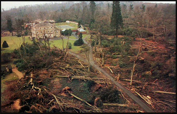 wakehurst-1987.png