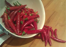 Cayenne Chilli Harvest.jpg