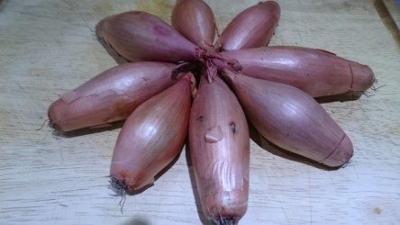 Shallots.jpg