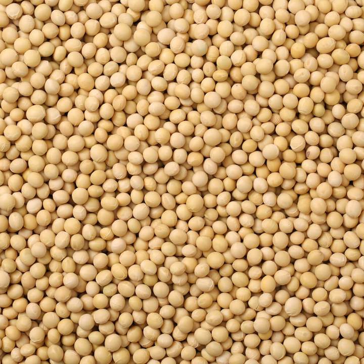 OrganicSoyaBeans_720x.jpg