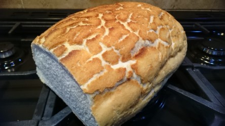 Bread Tigger.jpg