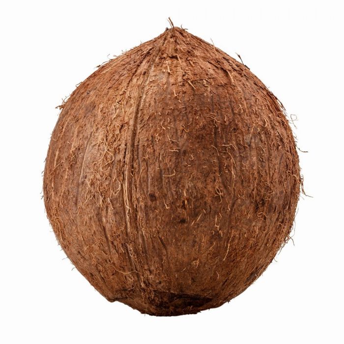 coconut.jpeg