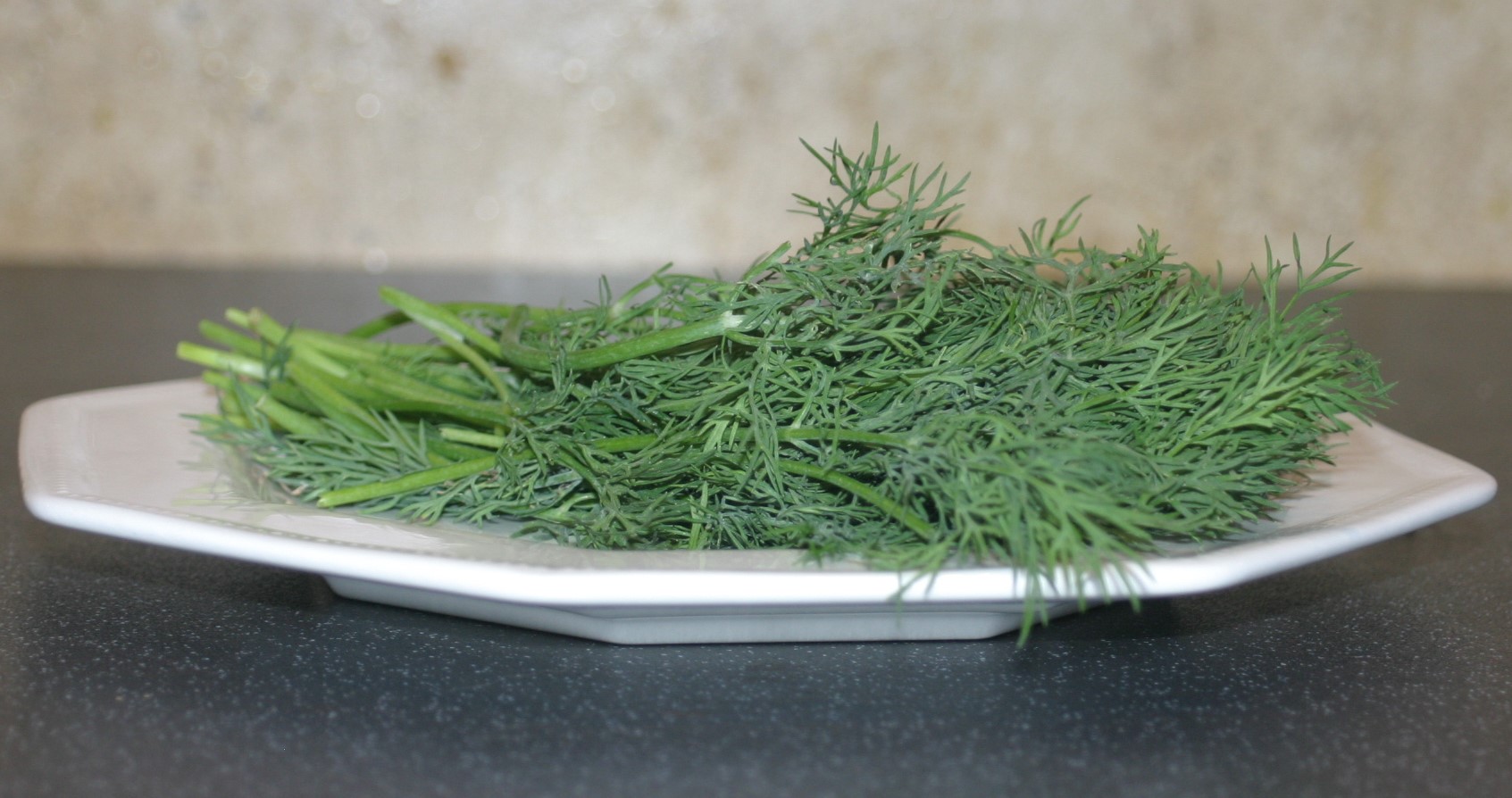 Common Dill :: la-maison-de-cordelia