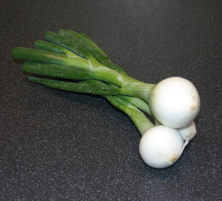 British Large Spring Onions Edited.JPG