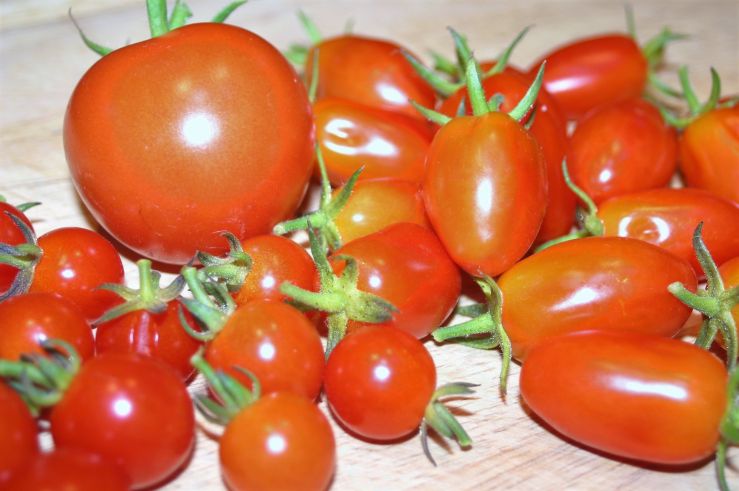 Fresh Plum Tomatoes.jpg