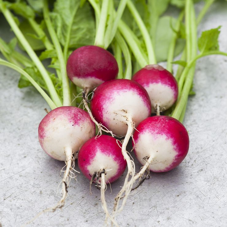 radishes.jpg