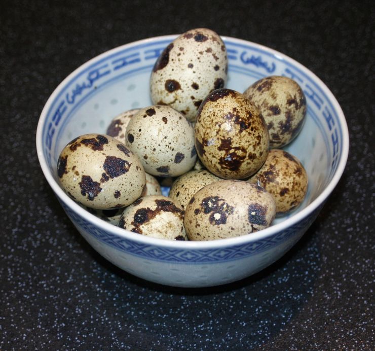 Quail Eggs 10.jpg