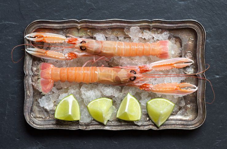 raw-langoustine-on-ice-2021-08-26-15-46-38-utc.jpg