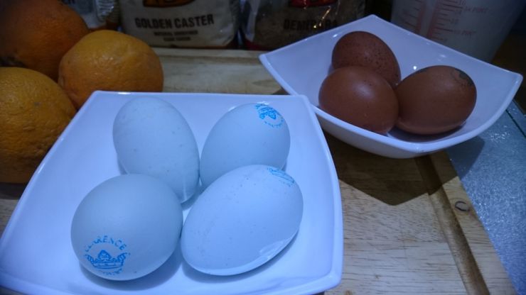 Variety of Eggs.jpg
