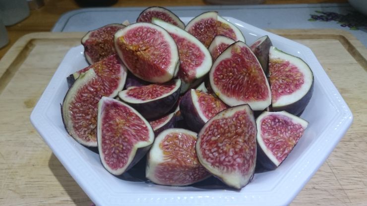 Figs.JPG