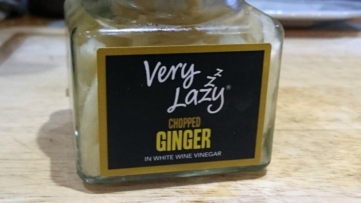 Very Lazy Ginger.jpg