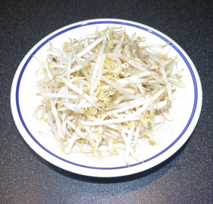 Beansprouts 2 Edited.JPG