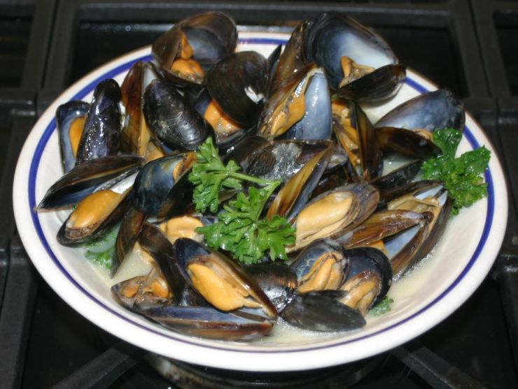 Mussels edited.JPG