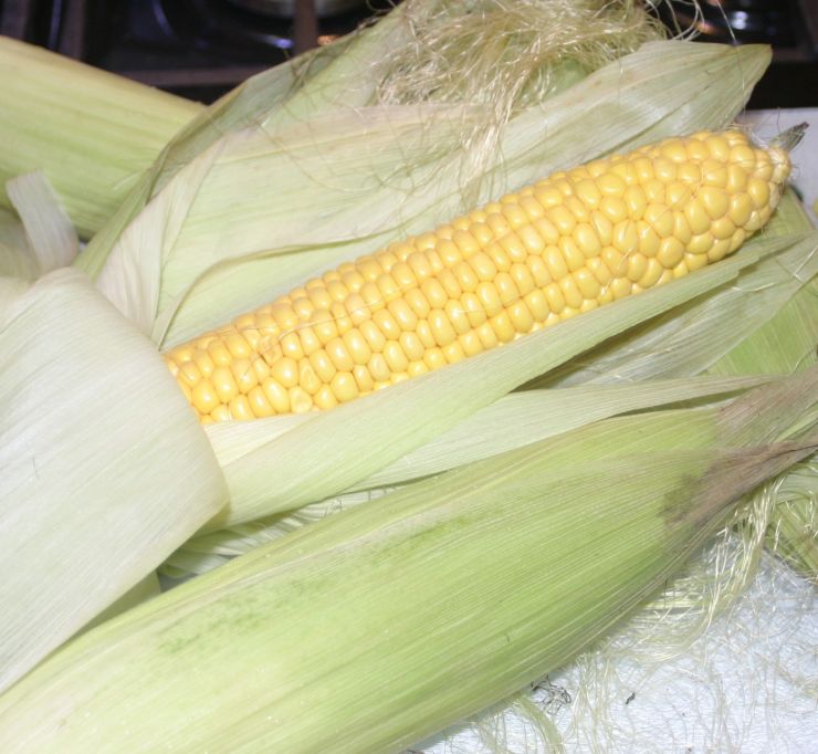 Sweetcorn Cobs in their Husks Edited.JPG