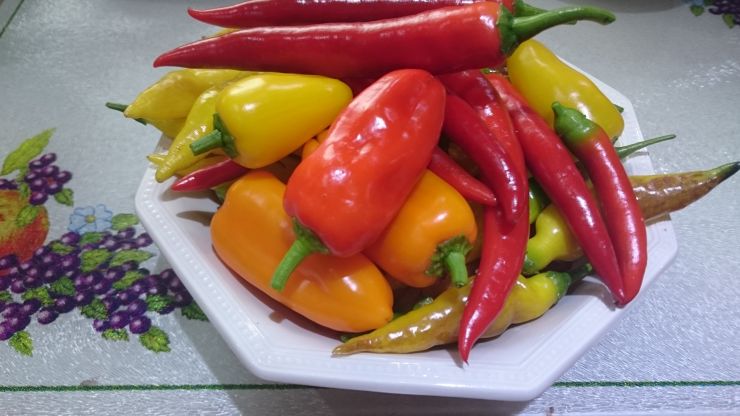 Sweet peppers and Chilli mix.JPG