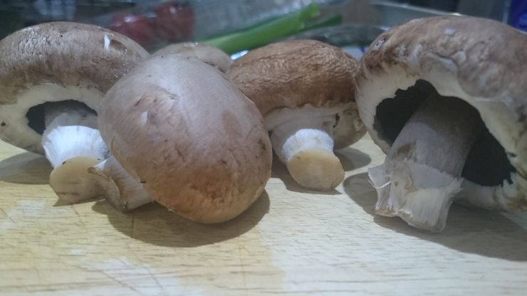 Chestnut Mushrooms.JPG