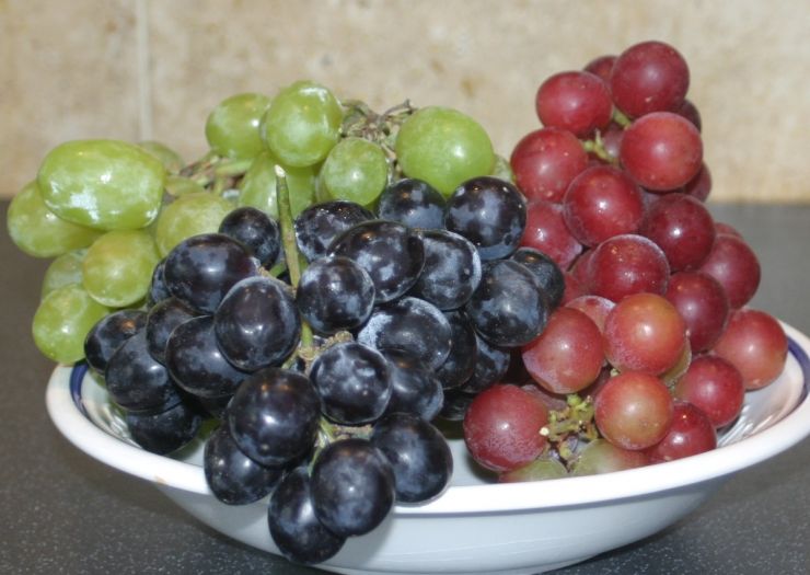 Mixed Grapes Edited.JPG