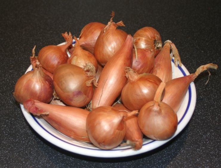 Mixed Shallots Edited.JPG