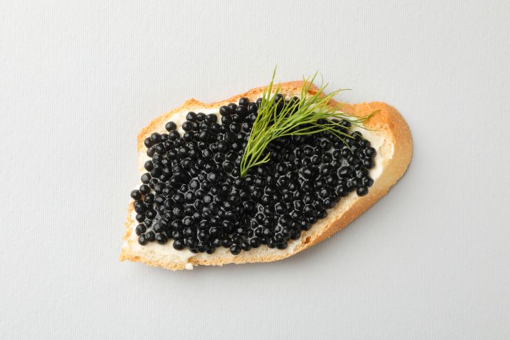 sandwich-with-black-caviar-and-dill-on-white-backg-2021-08-31-23-38-33-utc.jpg