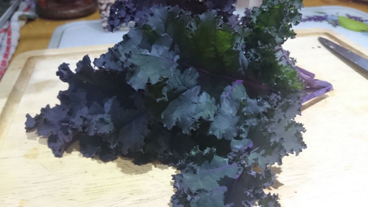 Purple Curly Kale.JPG