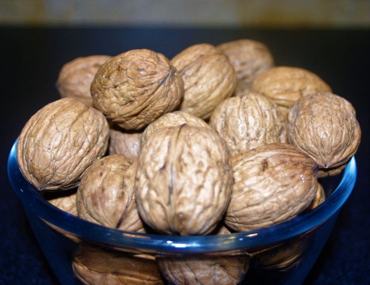 Walnuts.JPG