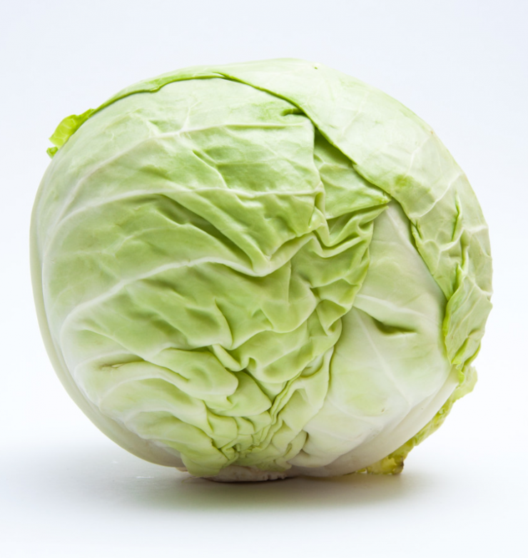 whitecabbage.png