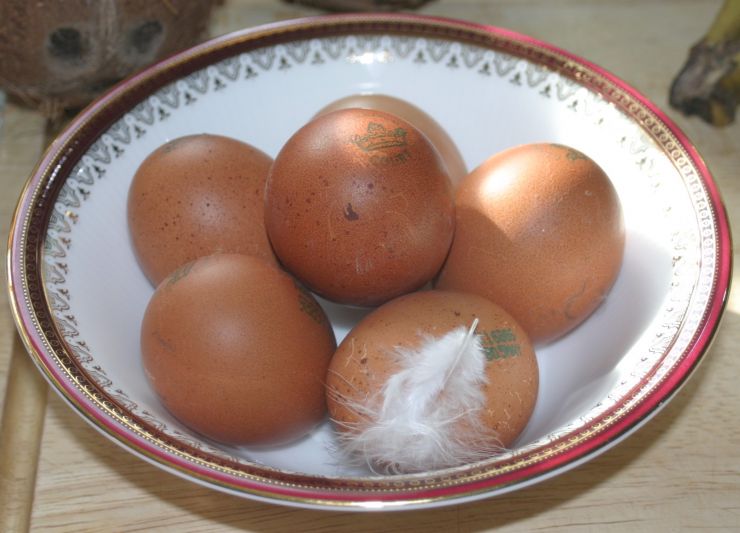 Clarence Court Burford Browns Chicken Eggs Edited.JPG