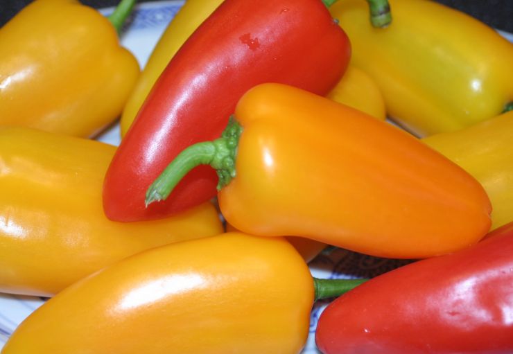 Sain's Sweet Mixed Baby  Peppers Edited 2.JPG