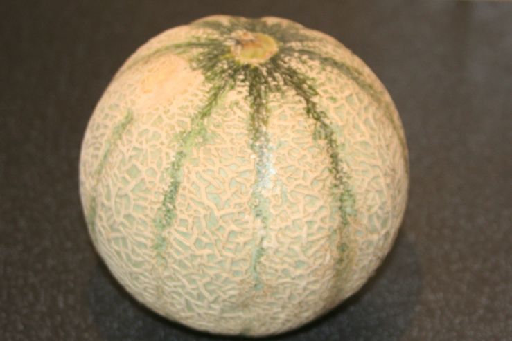 Cantaloupe Melon.JPG