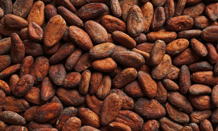 cocoa-beans.jpg