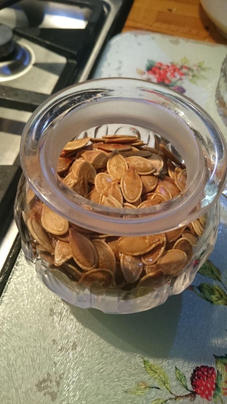 Pumpkin Seeds (2).JPG