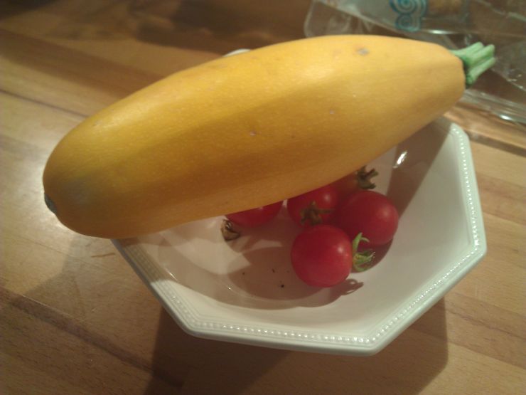 Our first Yellow Courgette.jpg