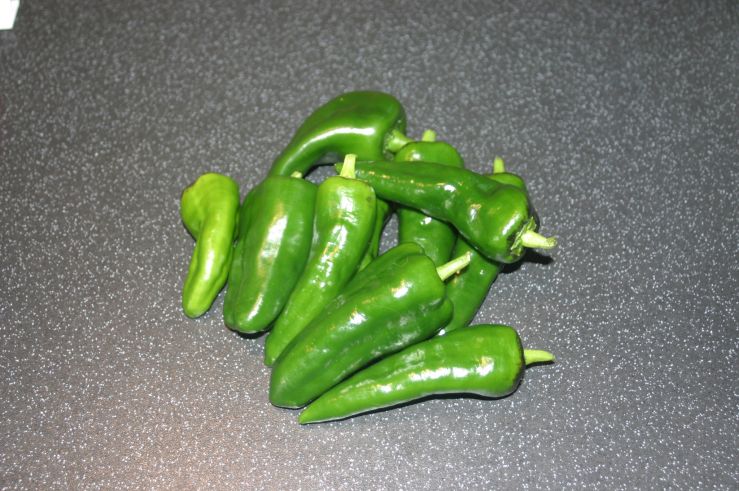 Padron First Chilli Harvest 2017.JPG