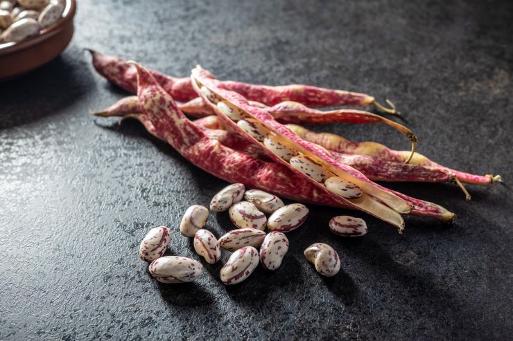 cranberry-beans-borlotti-beans-2021-09-04-16-27-13-utc.jpg