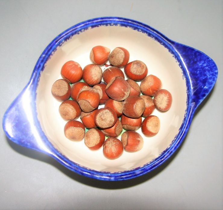 Hazelnuts.JPG