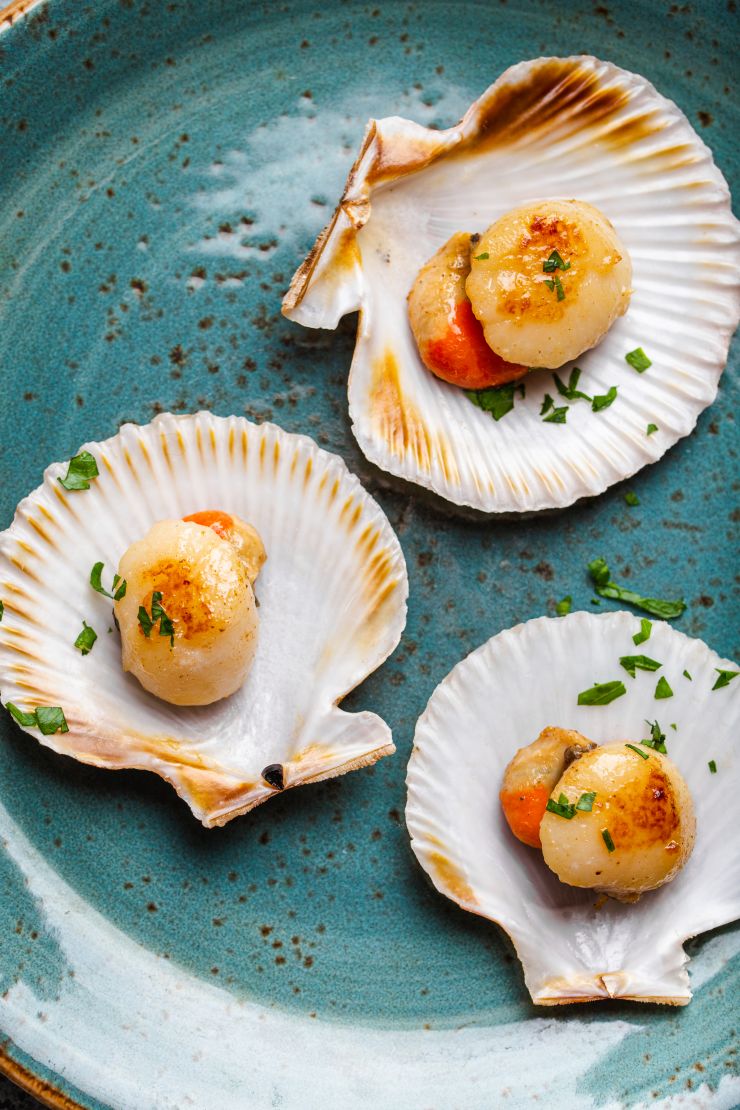 tasty-grilled-scallops-2021-09-01-22-06-40-utc.jpg