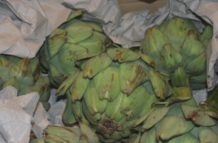 Artichokes 1 Edited.JPG