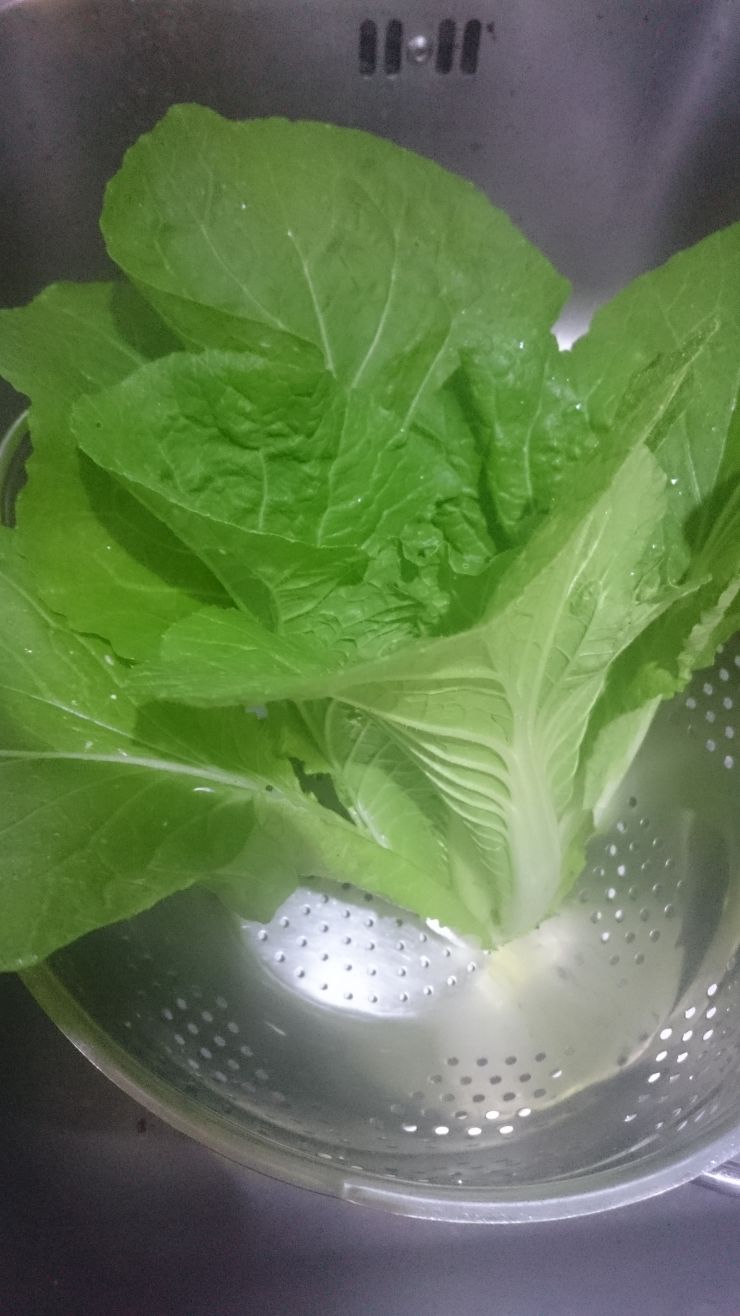 Gem Lettuce Opened up.JPG