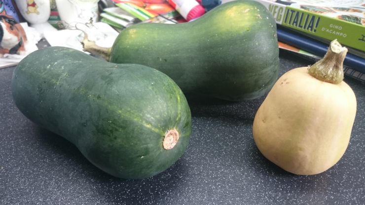 A selection of squashes.JPG