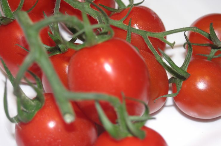Sundream Plum Vine Tomatoes Variety Sunstream 5.JPG
