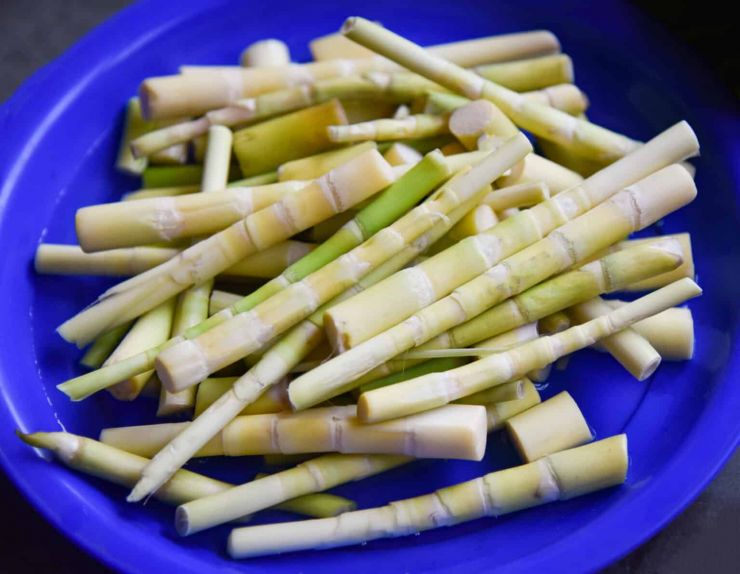 Fresh-Bamboo-Shoot.jpg