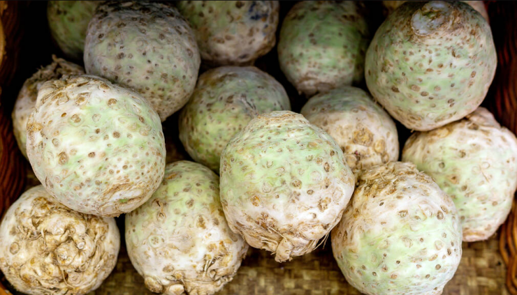 celeriac.png