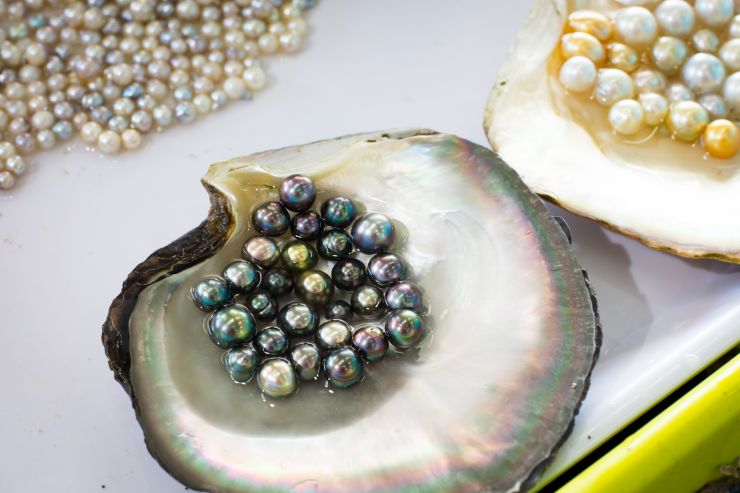 pearl-farming-and-oysters-2021-08-26-17-04-32-utc.jpg