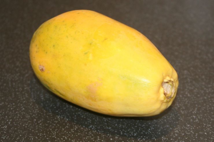 A fat yellow courgette.JPG
