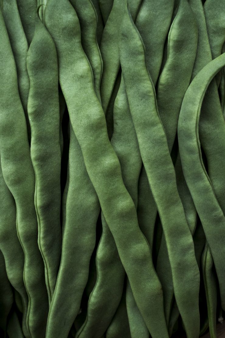 high-angle-close-up-of-freshly-picked-runner-beans-2021-08-31-15-16-53-utc.jpg