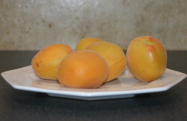 Common Apricots Edited.JPG