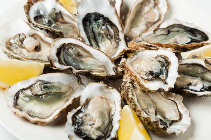 fresh-oysters-2021-08-26-18-18-25-utc.jpg