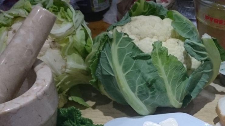 Cauliflower 4.JPG