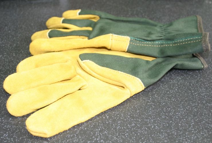 Gardening Gloves Edited.JPG