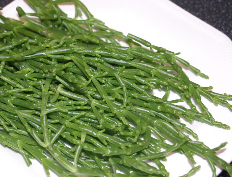 Marsh Samphire Edited 1.JPG